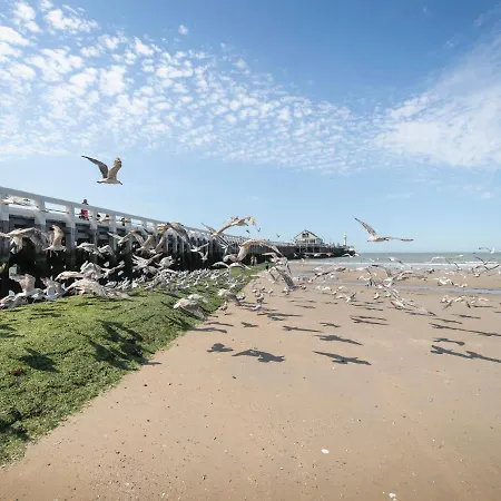 Appartamento Ocean Dream By Interhome Blankenberge